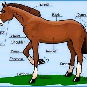 Meet your Posher, Philippe